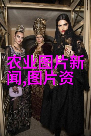 四季荣耀懒人果实