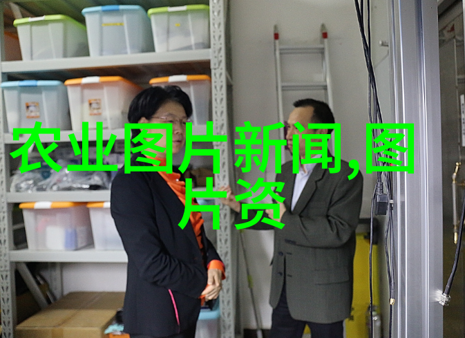 食材价格-蒜苔市场动态追踪最新蒜苔价格走势