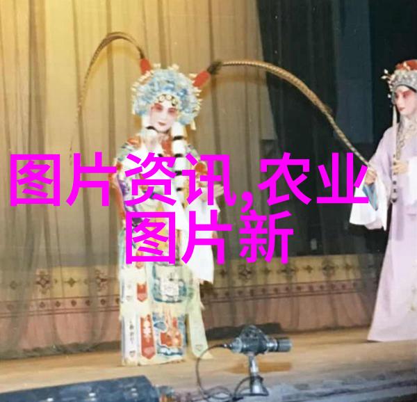 种子选择与饲料质量在提高牧草产量中扮演了什么角色