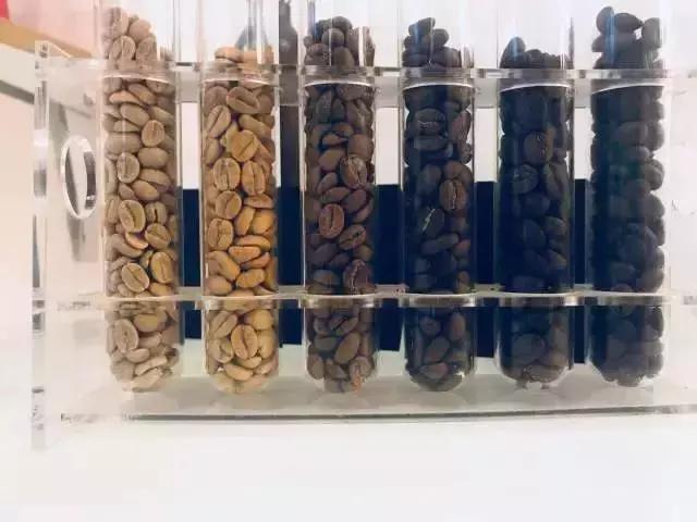盆栽花卉批发哪里便宜-寻找最佳价格中国最经济的盆栽花卉批发市场