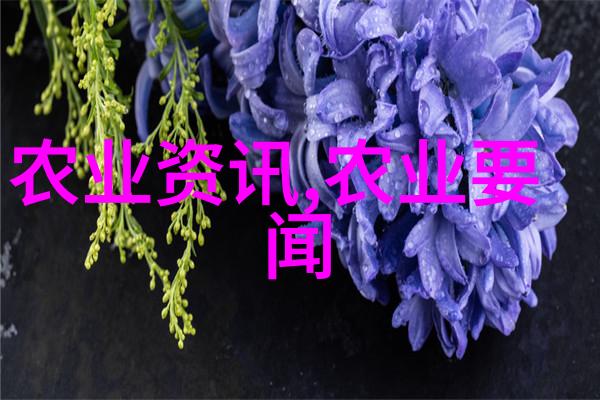 春播夏收秋种冬藏四季蔬菜种植时间和方法全解析
