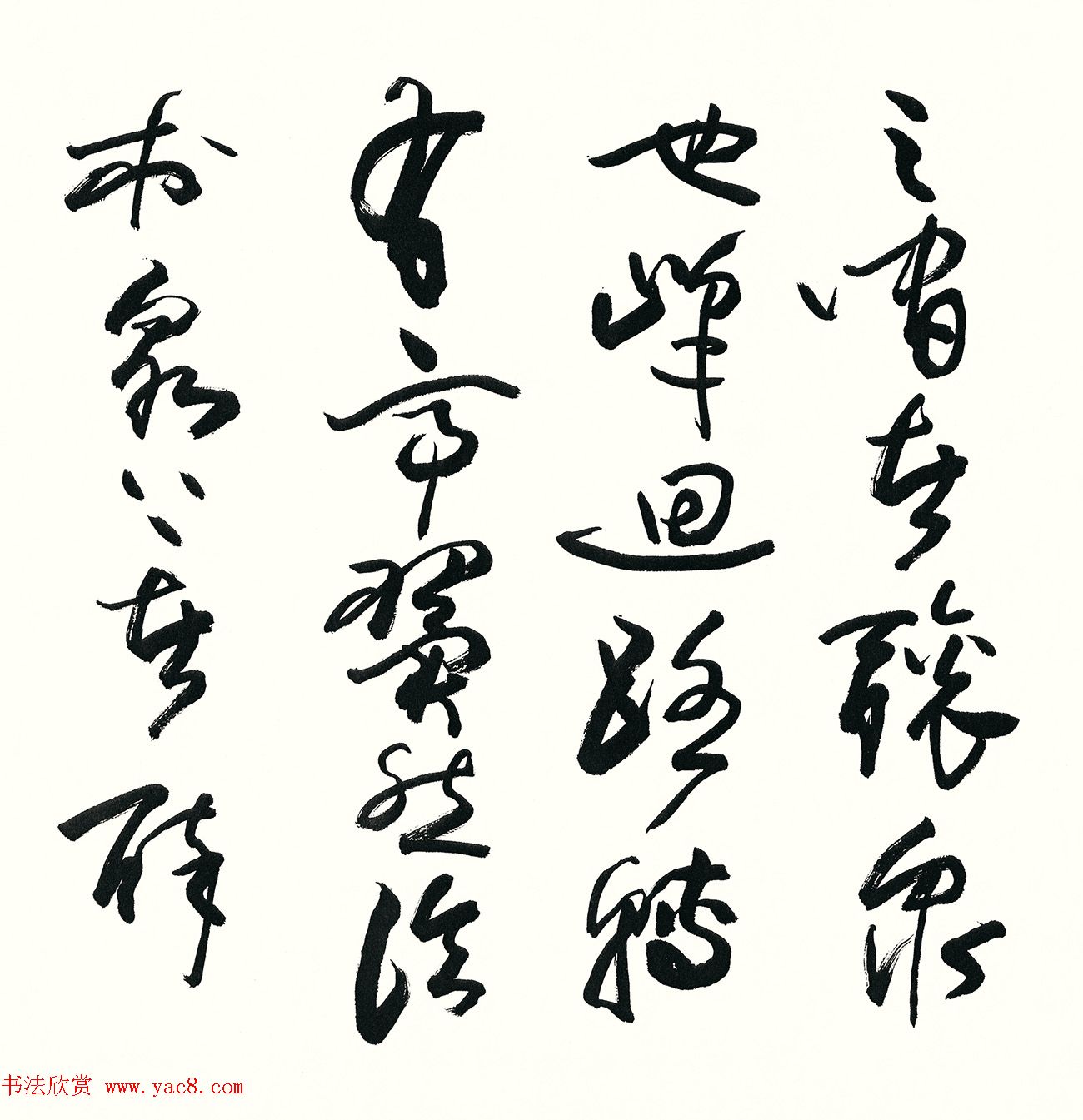 春日佳境选种适合自家小院的花卉