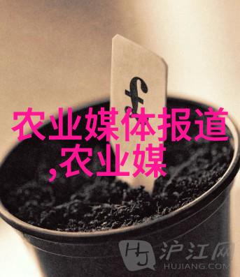 稻田黄鳝养殖技艺金色水生之宝的智慧种植