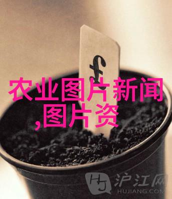 政策解读规定深入理解和执行政府决策的指南