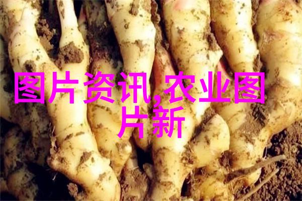 农村十大暴利养殖揭秘农业背后的金钱游戏