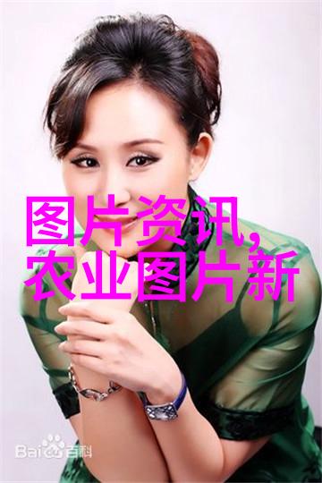 农业设施-10亩连栋大棚造价分析与优化策略