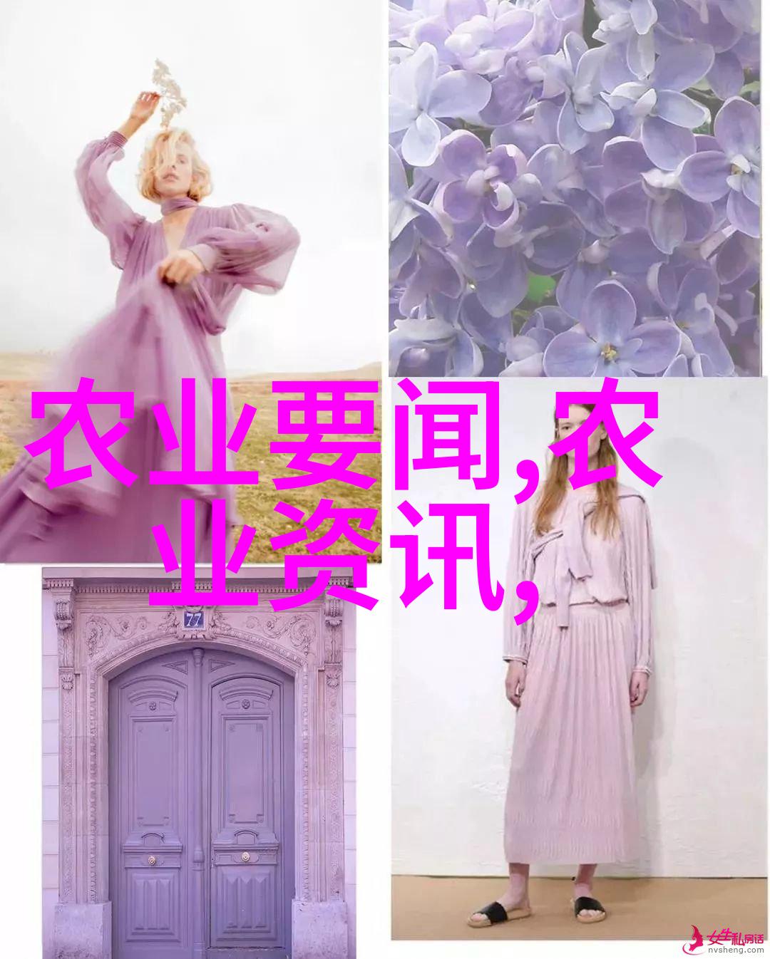 现代智囊团赚钱的新农场