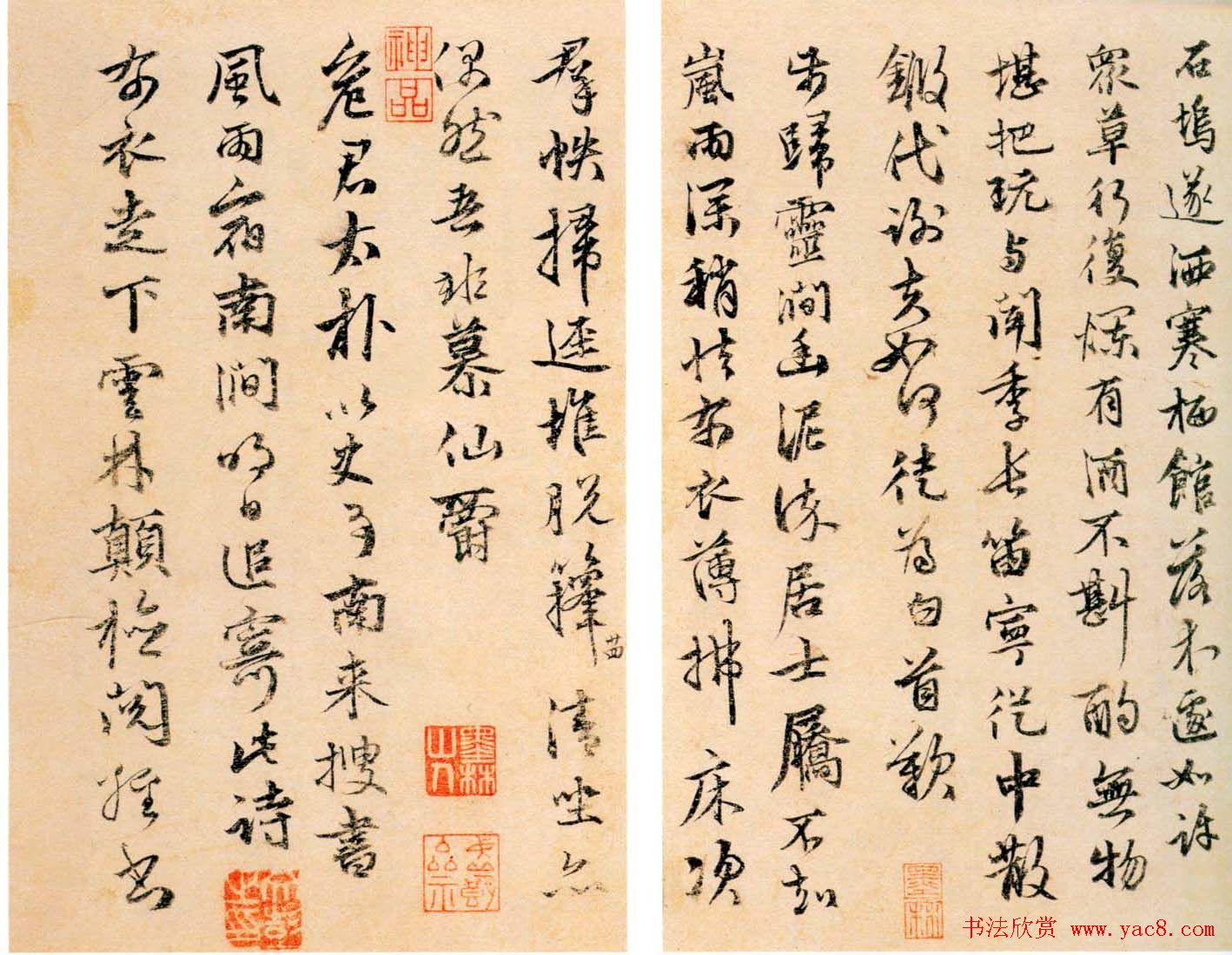 茶叶的五大特点品味与智慧的传递