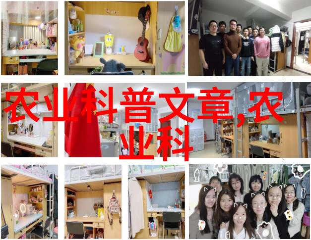 全国牛羊交易平台APP下载指南轻松连接牧场与餐桌