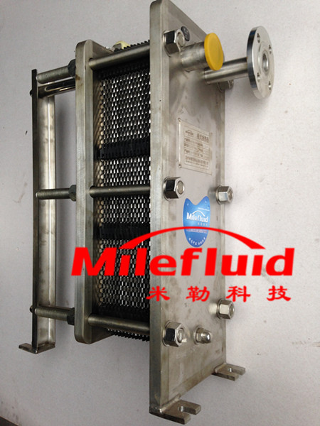 绿色角落的美选择最佳水果籽盆栽技巧