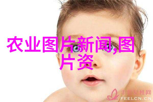 在进行岩石冲击实验时液壓打擊機能提供哪些数据信息
