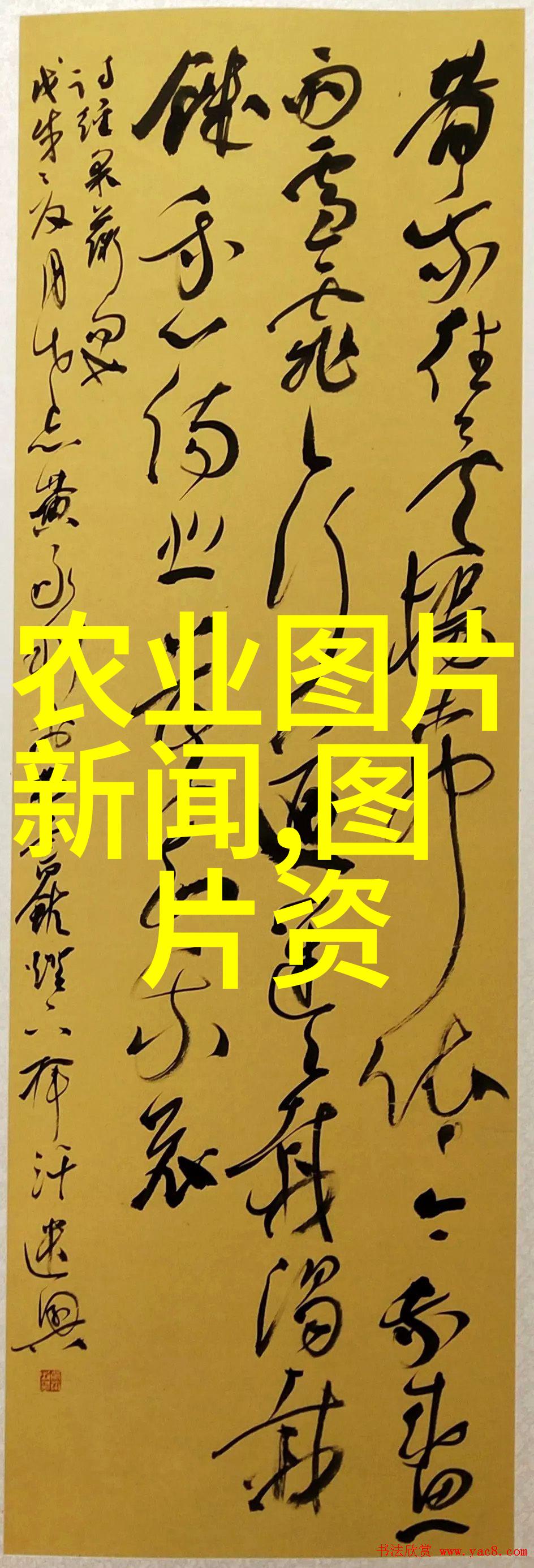 十大镇宅辟邪的树木我来告诉你那些能让你的房子不再有妖怪闯入的神奇树木