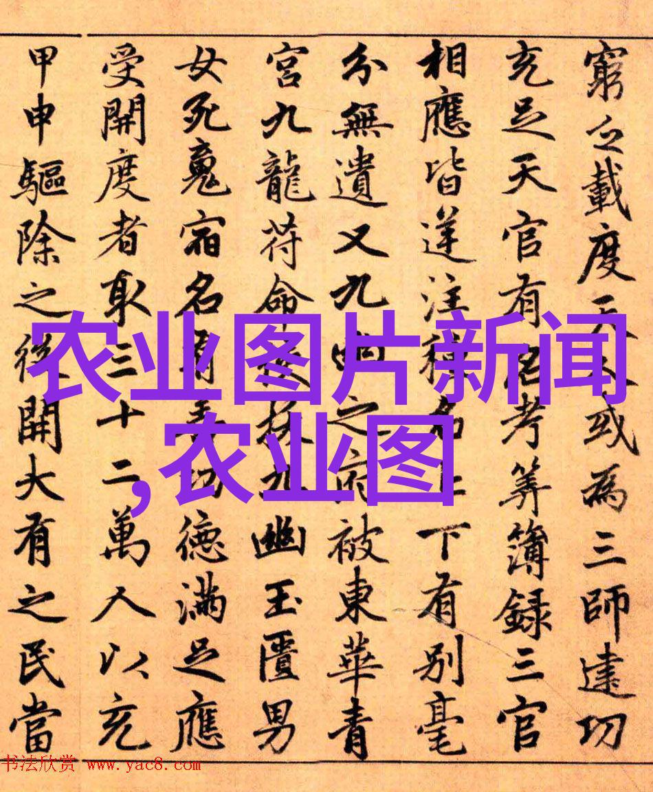 挖沟机的工作原理及其在基础设施建设中的应用