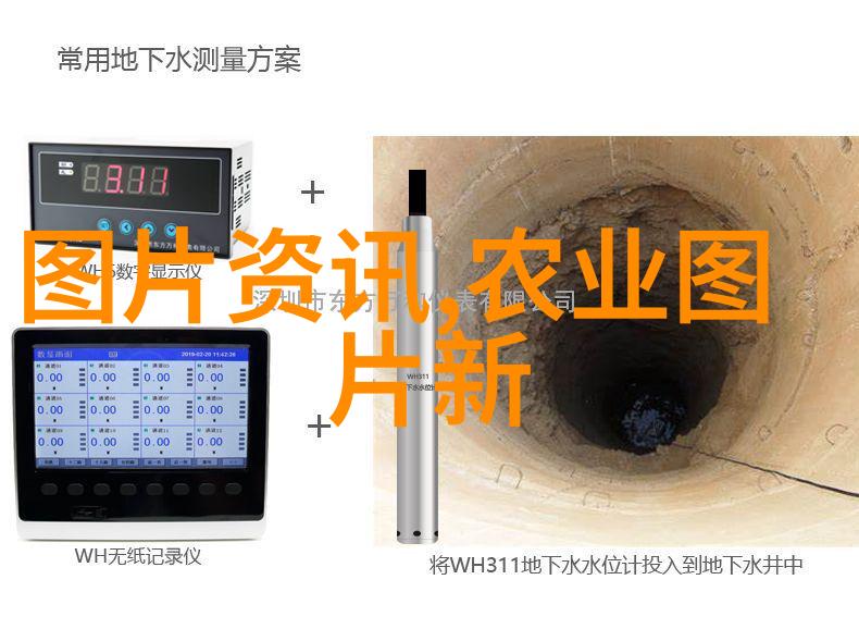 未来园艺现在最好的桃树新品种有哪些特点