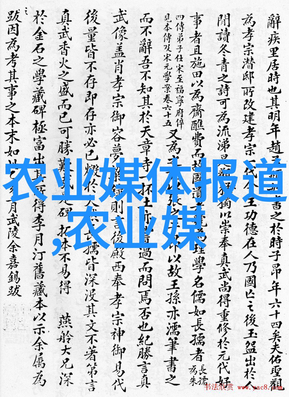 新时代新征程中国兽医网展开新的战略布局