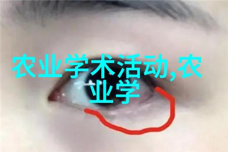 环境整体感受与视觉冲突分析多个树木对建筑形象的影响