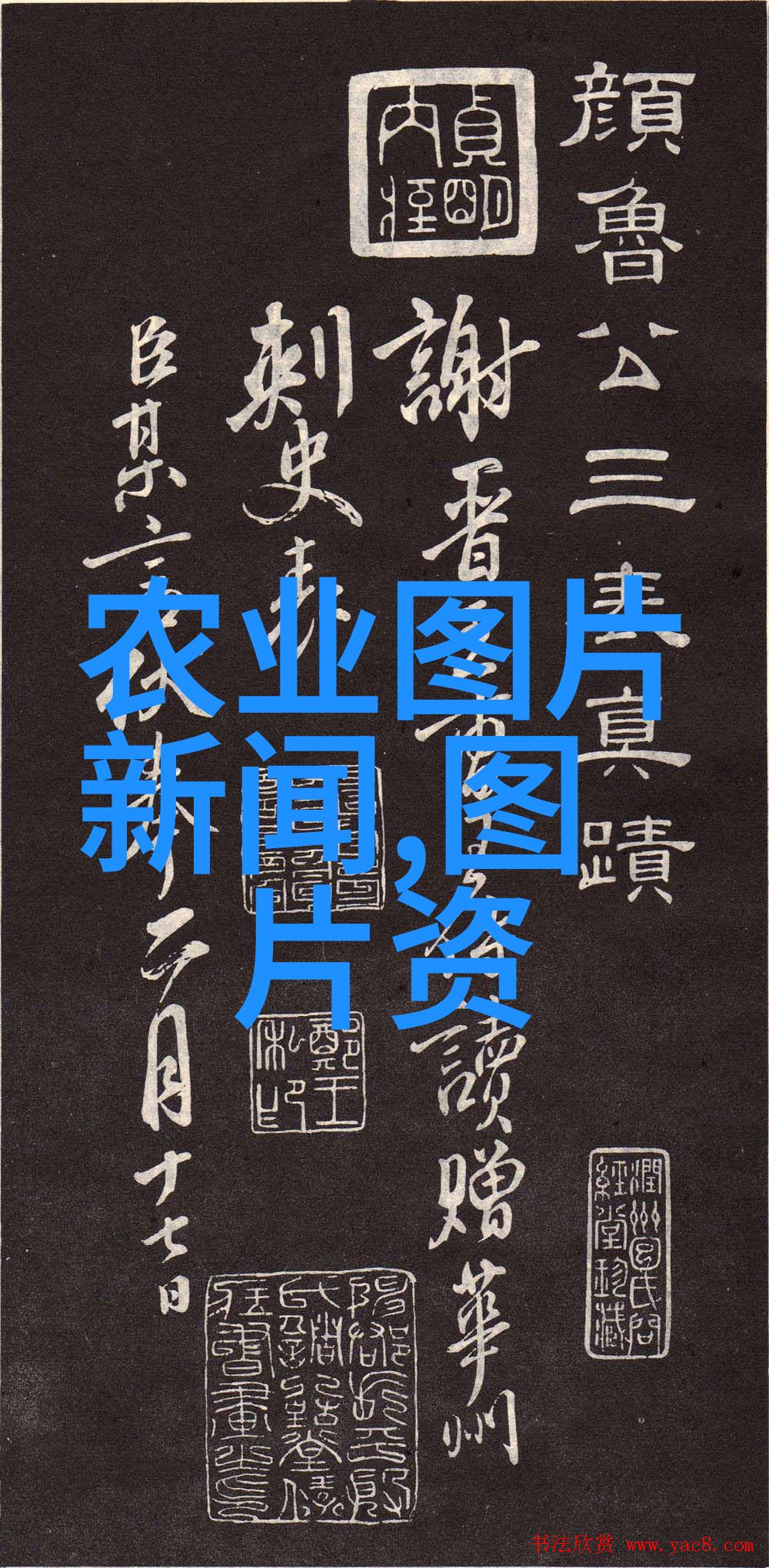 大棚里的绿意盎然从土豆到西瓜种植技术全接触