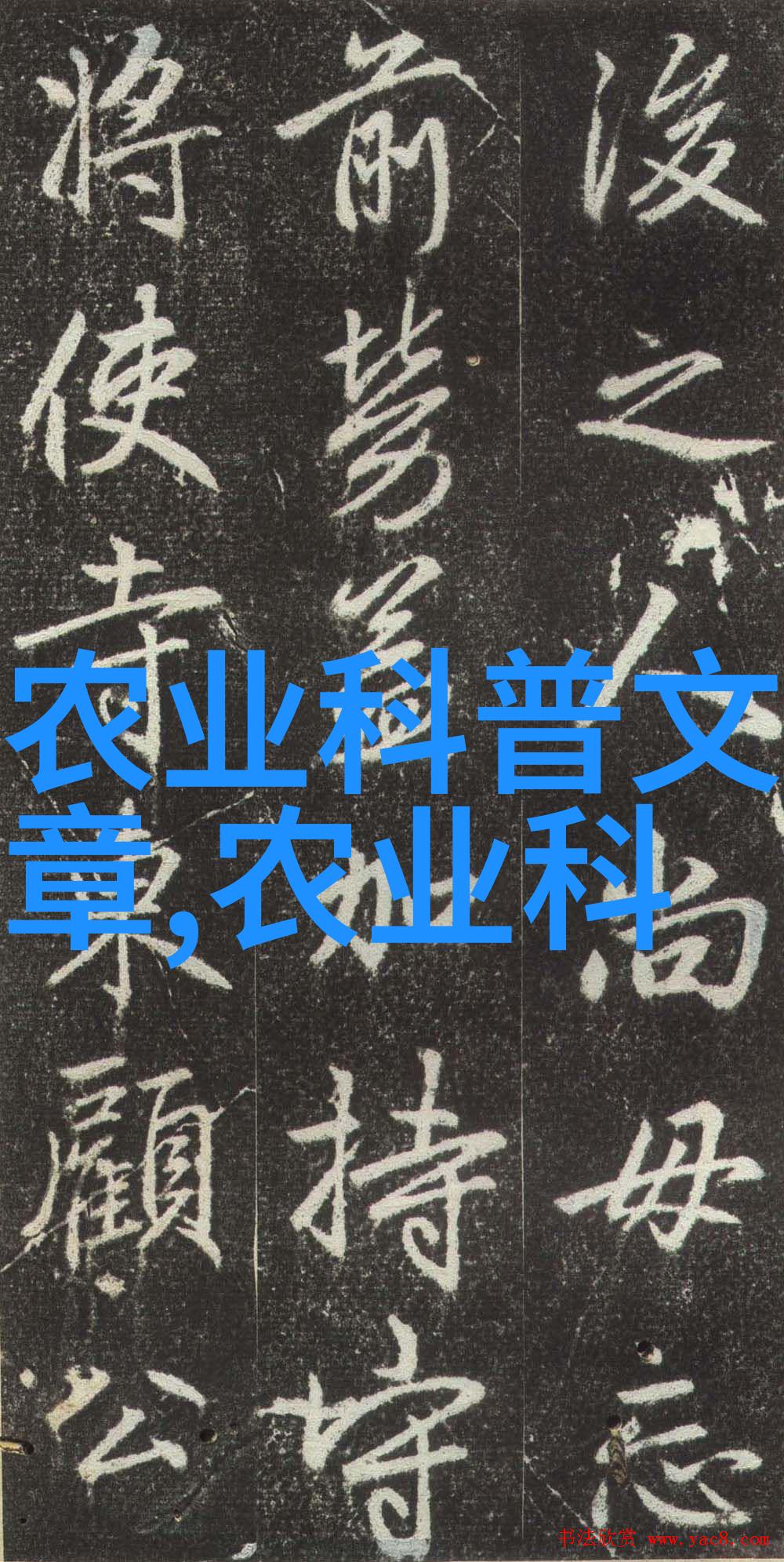 中国农业带的构成与特点