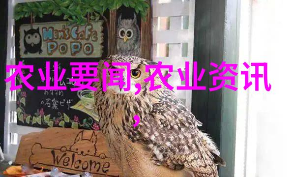 让美食更有趣四种创意菜肴使用四棱豆做法