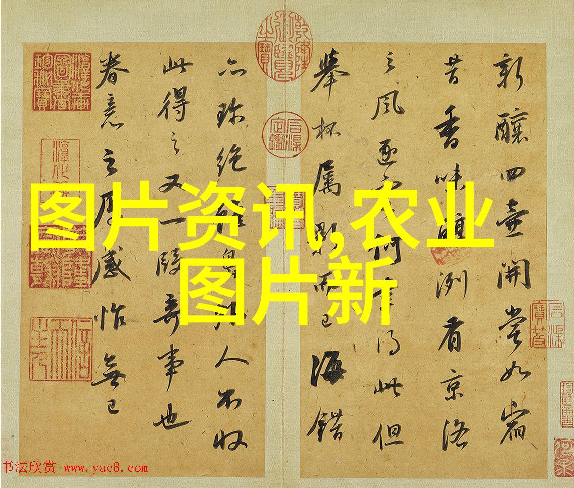 黑锅txt网络段子文化中的隐私泄露故事