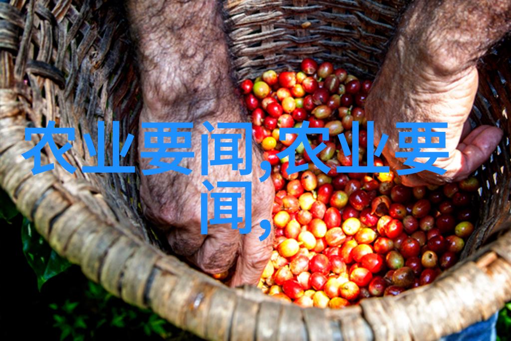 绒毛翩跹岁月赋