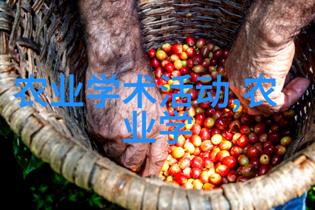 金线莲种植艺术精准引导您手把手成长这朵水中奇葩