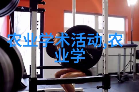 绿意盎然花园美景的完美引领者