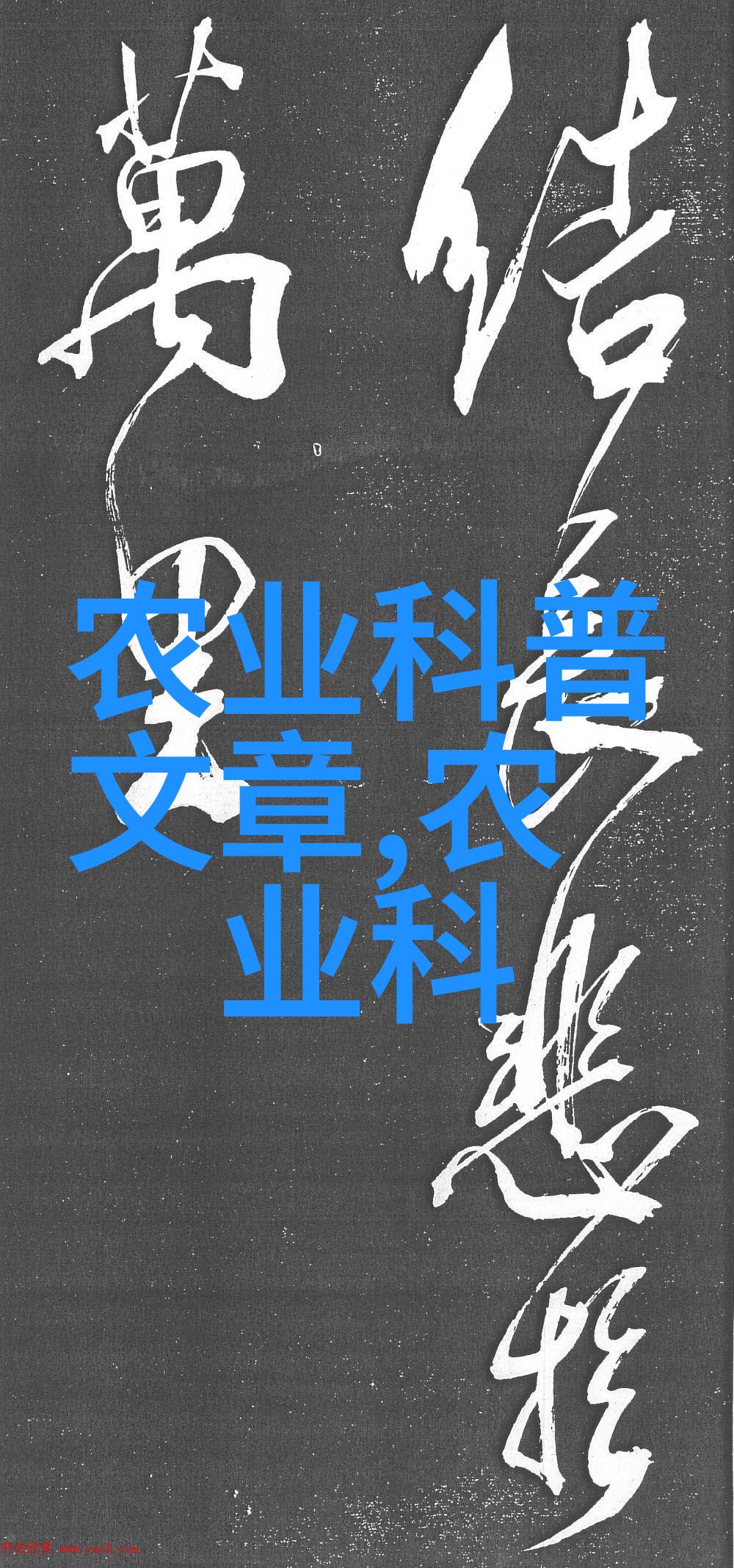 火热养殖项目揭秘高效益肉鸡的成功运营秘诀