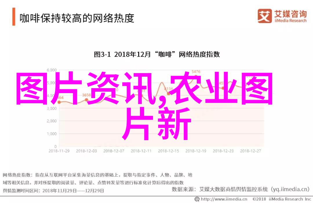 茶香飘逸品味人间四大名茗