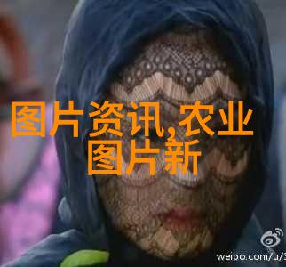 品味悠久探索茶文化的艺术与智慧精选PPT课件概览