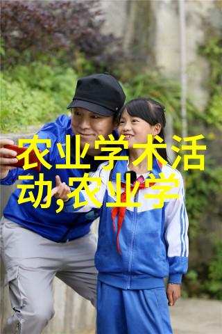 15元至18元的红果冬青树园艺爱好者新宠物价盘点