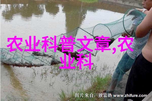 全面解读花卉苗木种植技术助你打造繁花似锦的花园