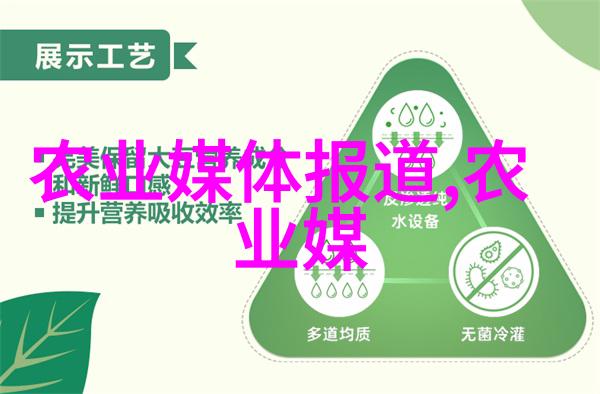 大棚菜新式大棚我在农村的菜园地遇见了未来