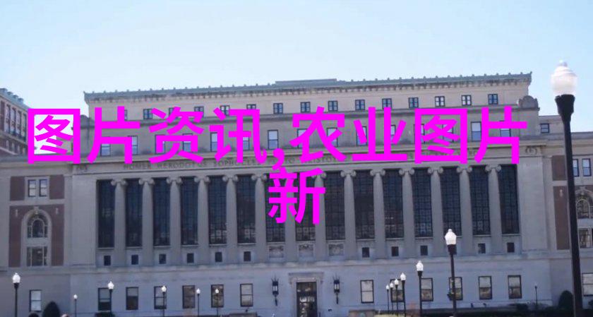 回顾15年花椒树的价格变动从种植到市场价值的故事