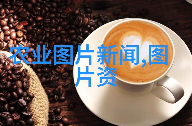 夏季稻谷处理新技术提高农作物储存质量的关键设备