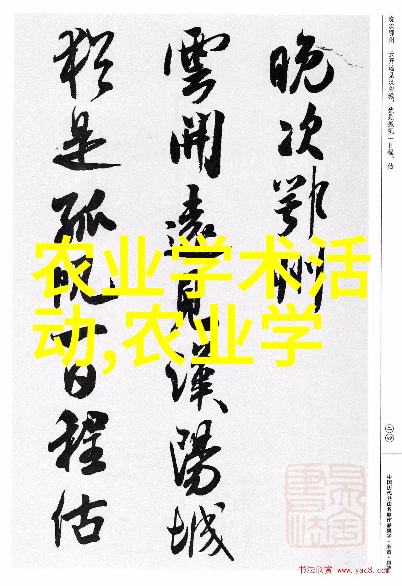 茶的智慧揭秘一壶浓情的故事