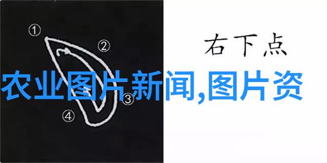 农业-丰收的希望粮油作物种植技术与实践
