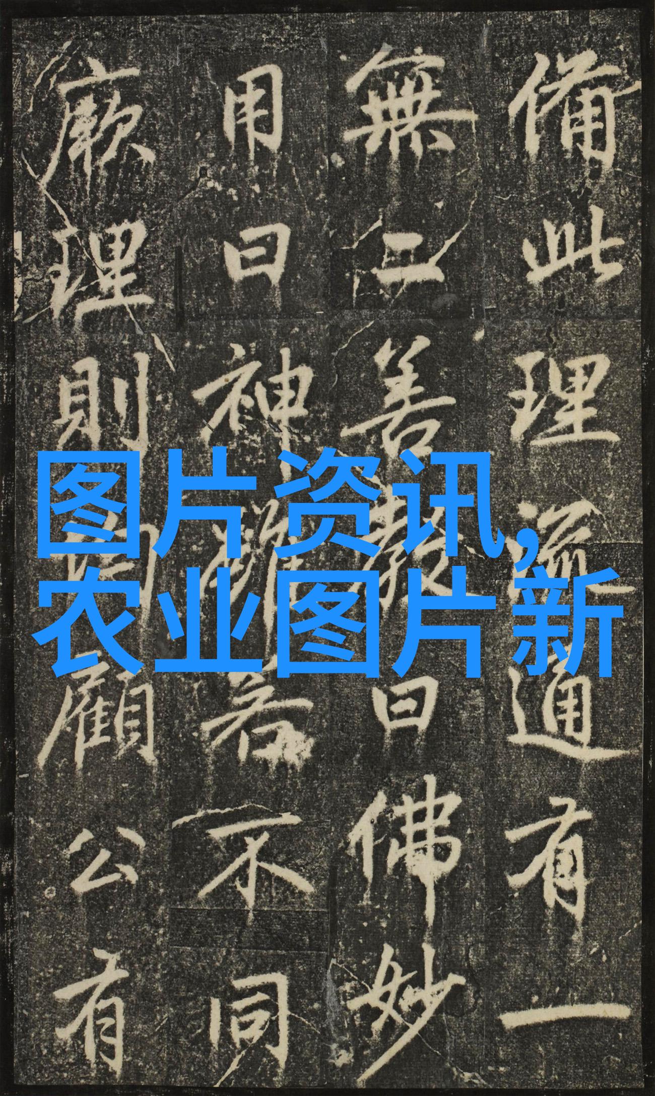 绿色健康路线图有害添加剂自由选择的饲料机