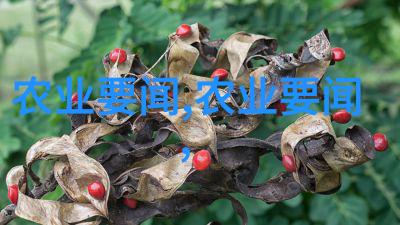 现代养殖业的领先者高效智能养殖技术的兴起