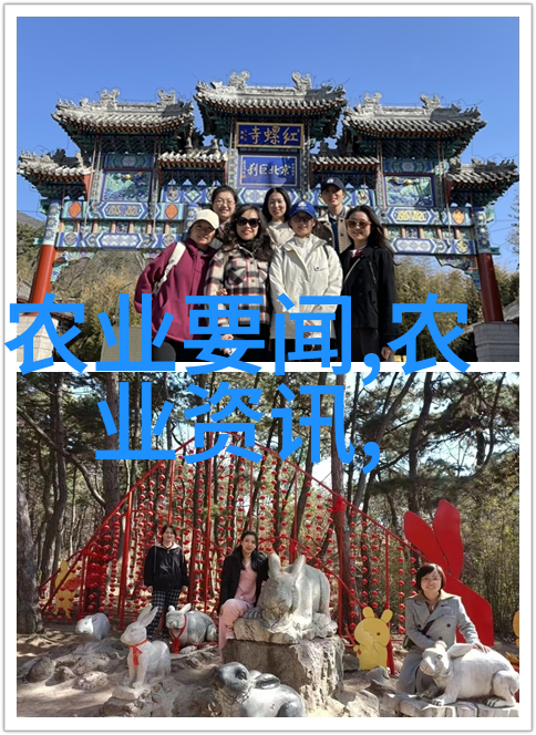 无土大棚蔬菜种植流程我来教你怎么在家里种个超级棒的无土蔬菜