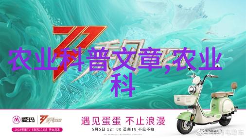 水果蔬菜种子图片鲜美食材的初生阶段