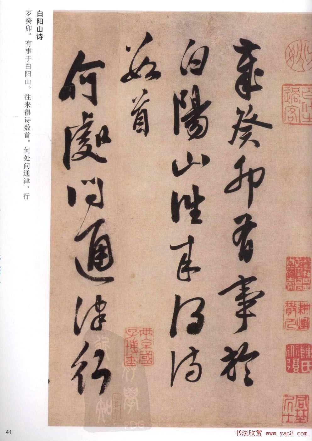 新闻农业图片大全_农业图片新闻_新闻农业图片高清