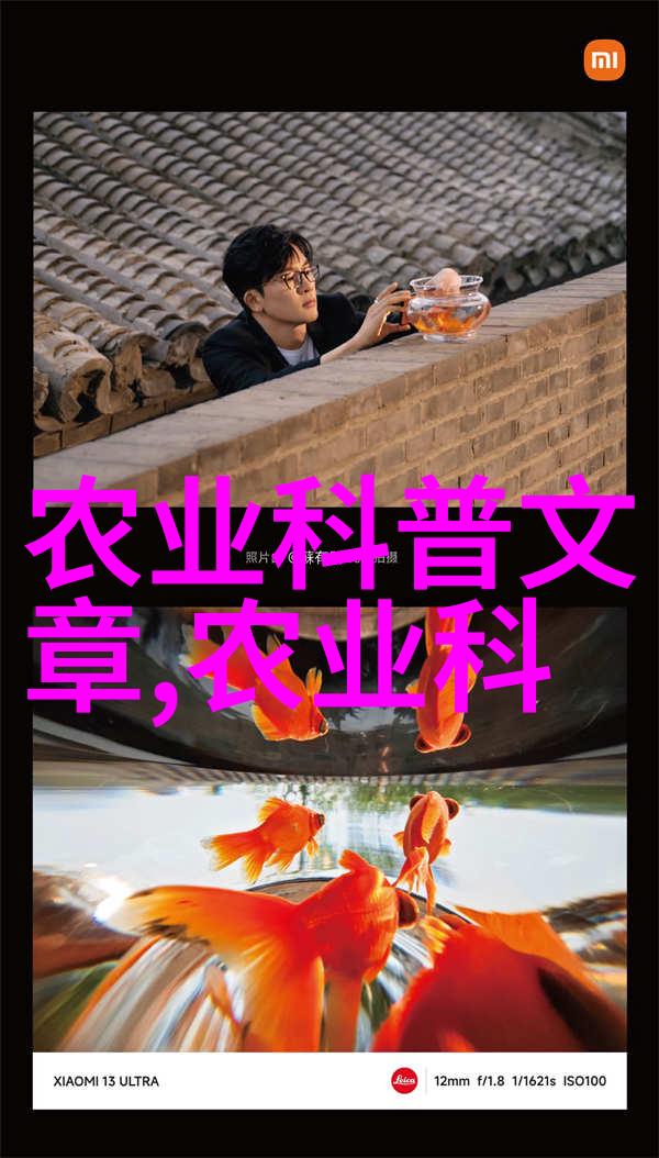 视频里的奇妙对话人与动物的温馨互动动物友好的视频内容