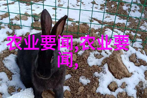 邻里园艺热潮附近果树苗出售促进绿色生活