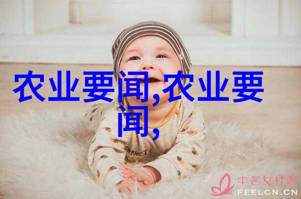 如何进行常规维护以延长皮带机的使用寿命