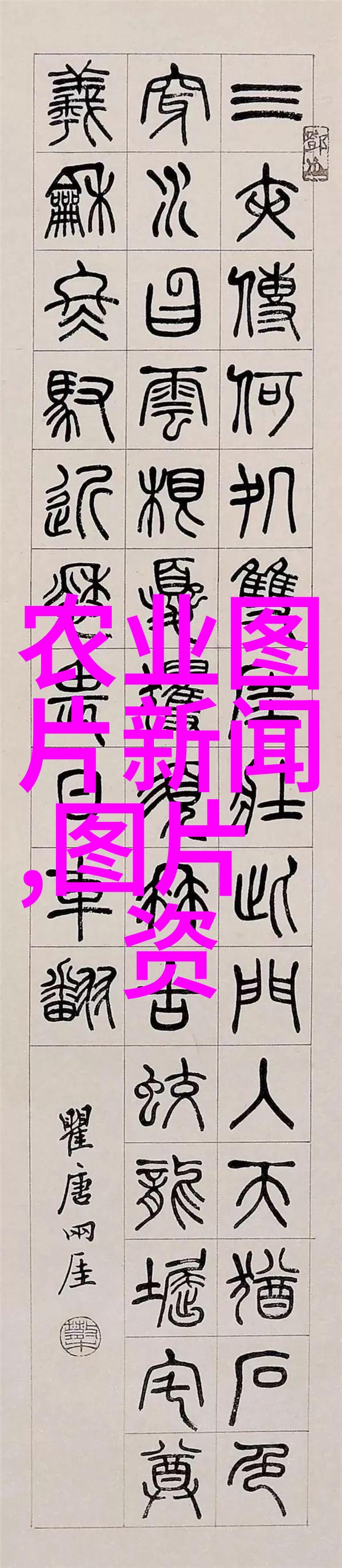 陕西苗木最新求购信息网树上开花网下见面