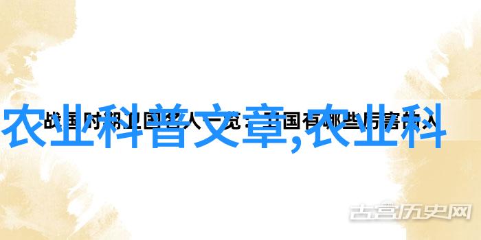 茶叶可以吃吗有什么功效 - 品茗健康探索茶叶的美味与疗效