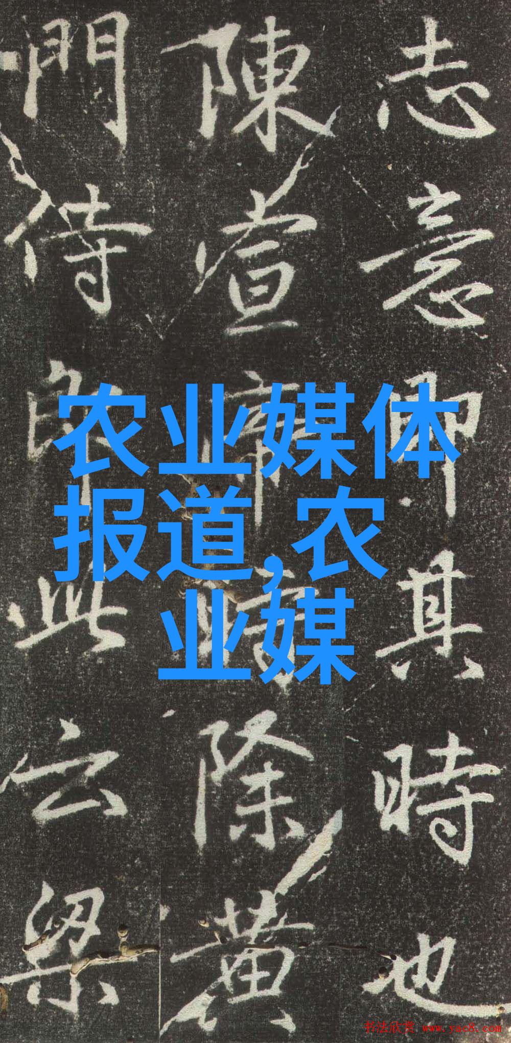 风水十大吉祥花提升家宅福祉的美丽植物
