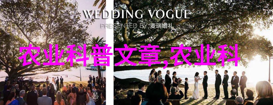路边绿化苗木品种大全我家小区的绿意盎然一探究竟的路边植物之旅
