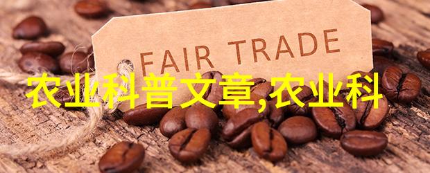如何正确泡制每一种特色茶叶